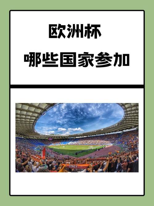 瑞典比逆转克罗地亚，实现重要胜利